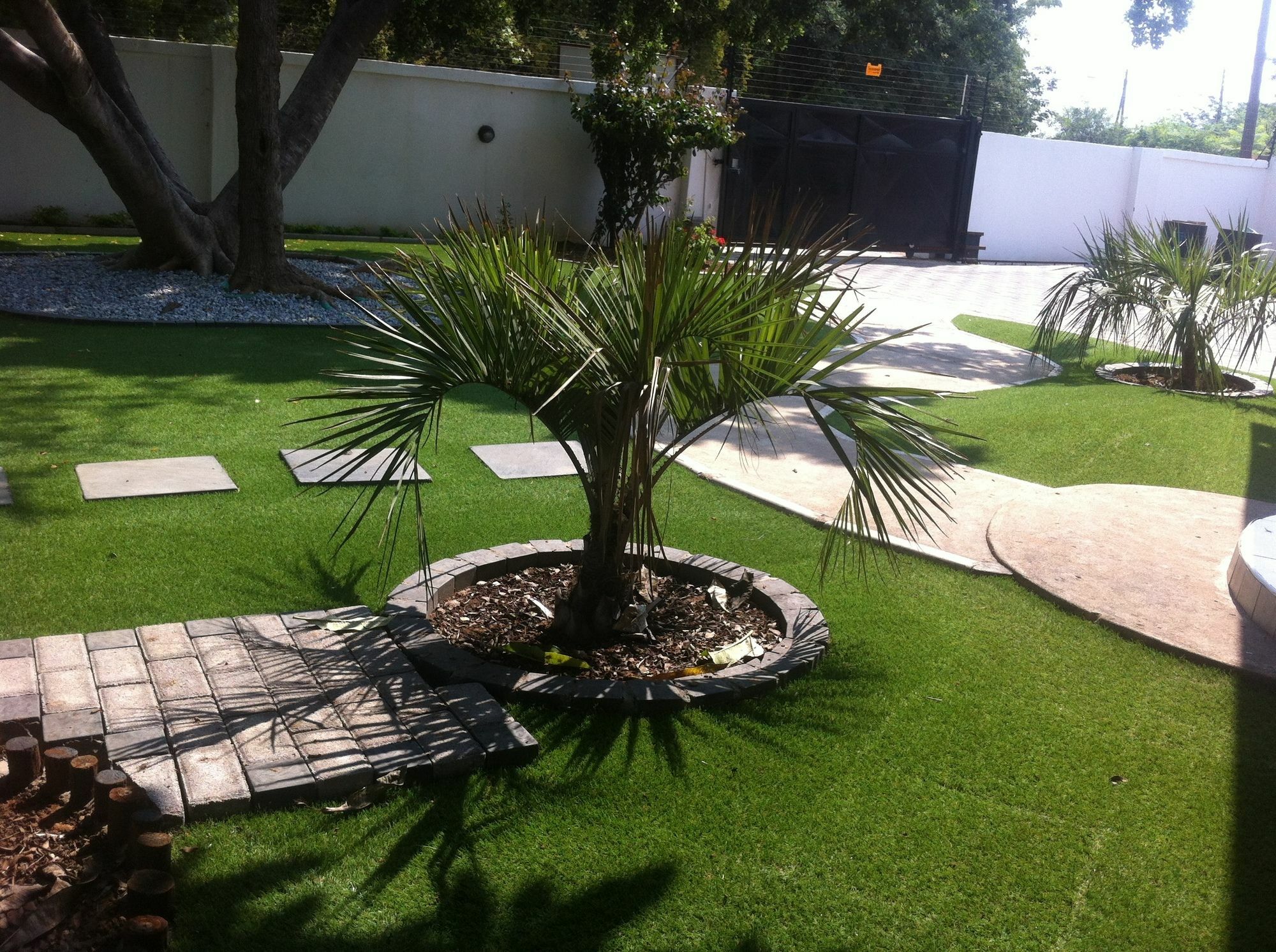 Cosy Palms Bed and Breakfast Gaborone Eksteriør billede
