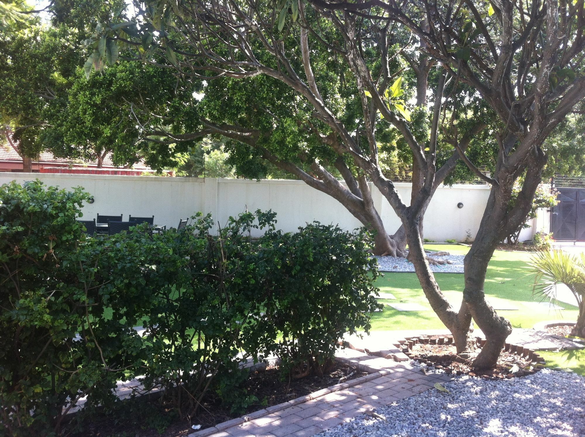 Cosy Palms Bed and Breakfast Gaborone Eksteriør billede